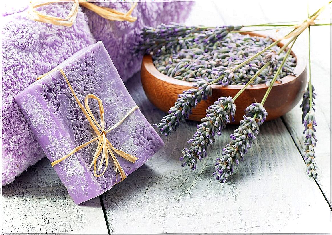 How to make homemade lavender soap