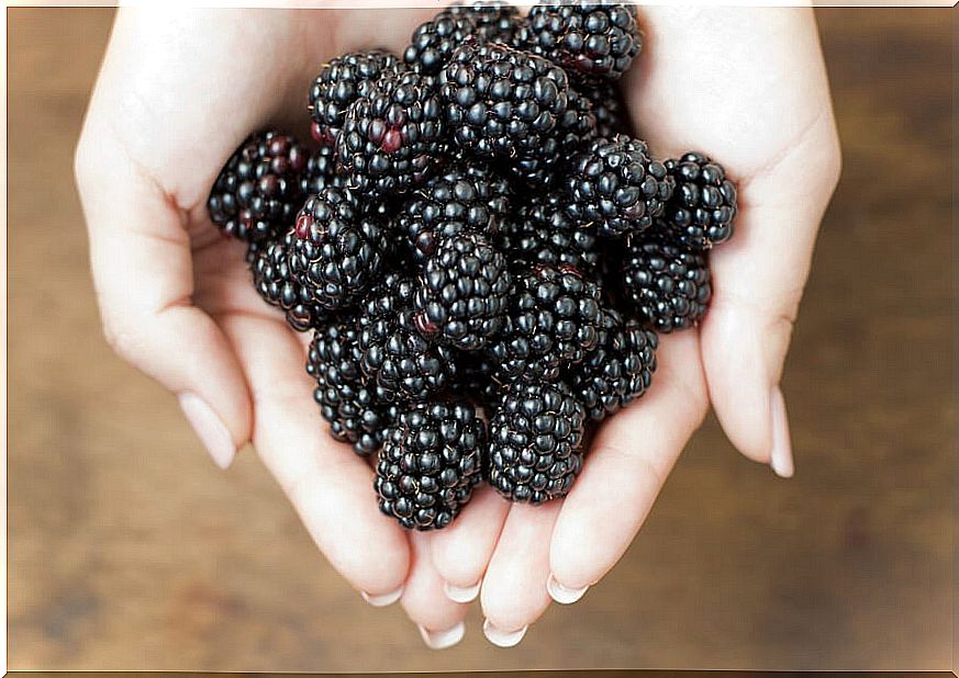 7 benefits of blackberry