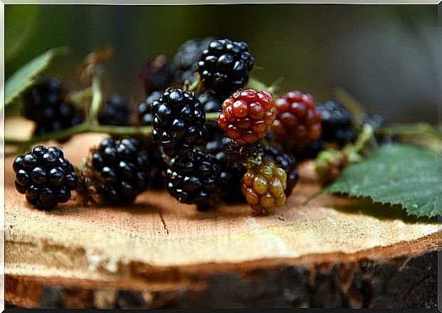 Blackberries are rich in antioxidants.