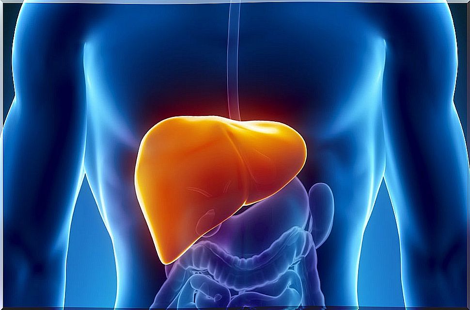 acenocoumarol-acts-on-the-liver