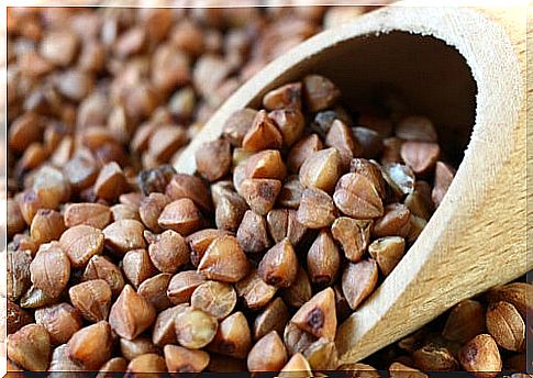 Buckwheat grains.