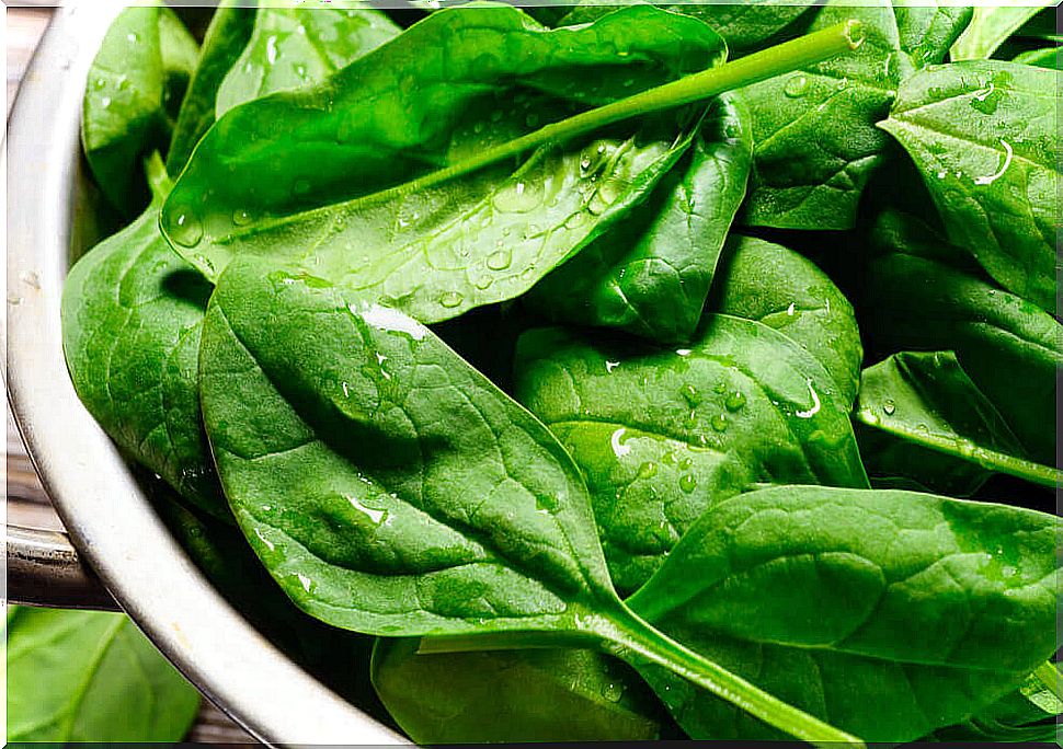 Spinach in leaves.