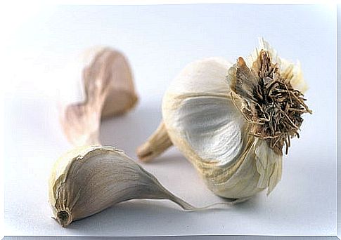 morberg garlic