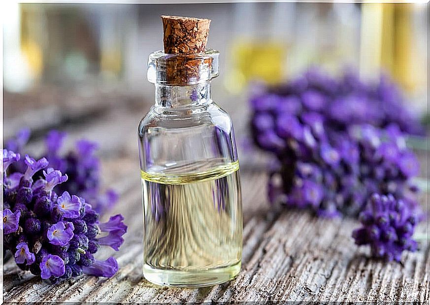 Lavender essential oil.