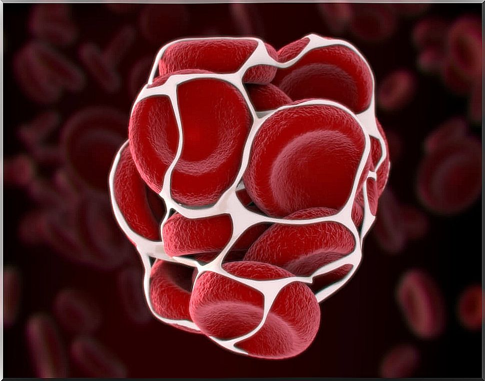 clot before fibrinolysis