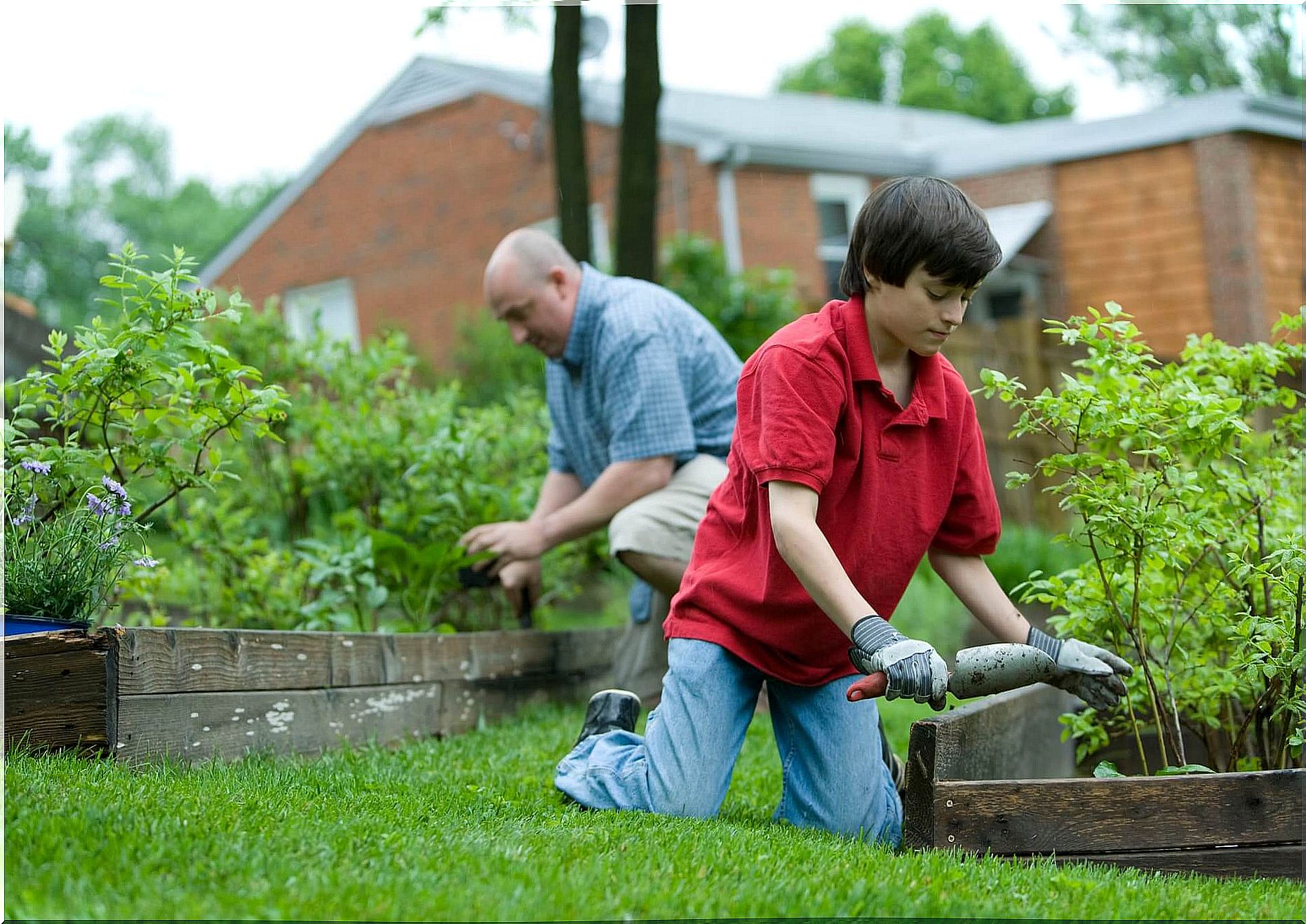 Grandson and grandfather in a gardening.