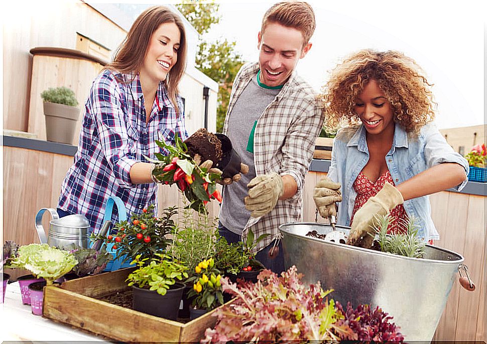 The benefits of gardening extend to mental health.