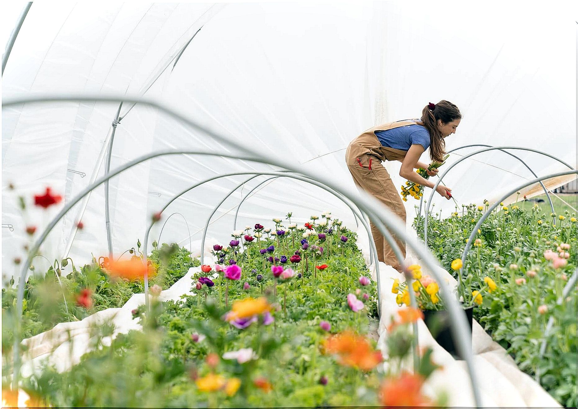 Woman watering flowers.