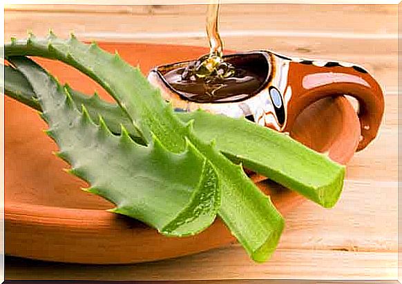 aloe and honey