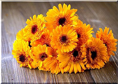 Calendula to prevent dermatitis