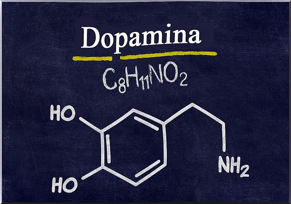 Nicotine causes an increase in the concentration of dopamine