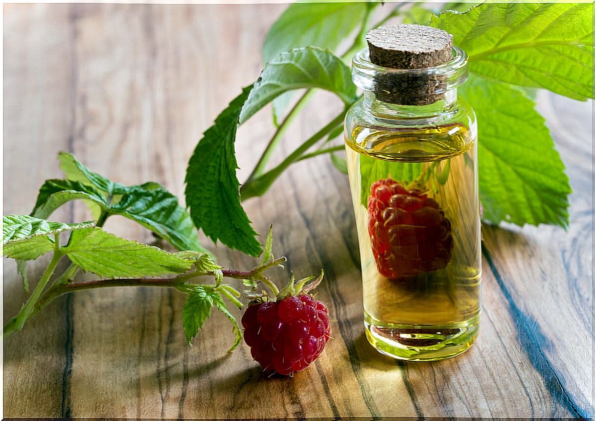 Raspberry seed oil: benefits, uses and contraindications