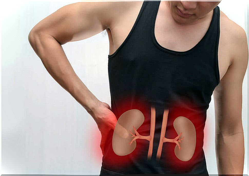 Man with kidney pain: renal sclerosis.