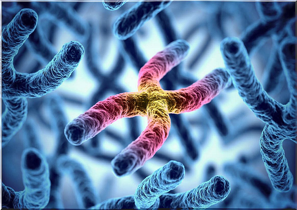 Defective chromosomes in Russel-Silver syndrome.