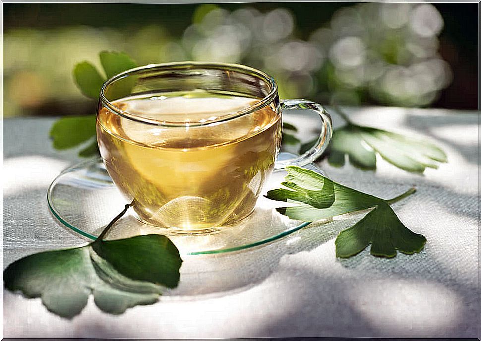 Infusion of ginkgo biloba to improve circulation.